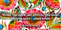 День української писемності та мови в НАСОА