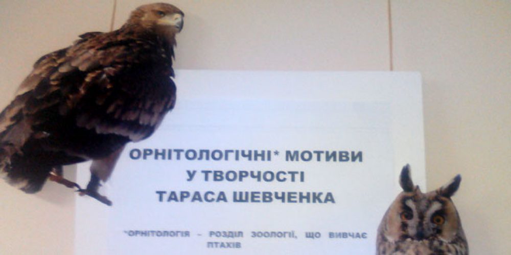 Spring comes with new beauty…