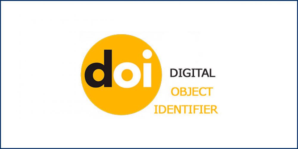The National Academy Statistics, Accounting and Audit received DOI prefix